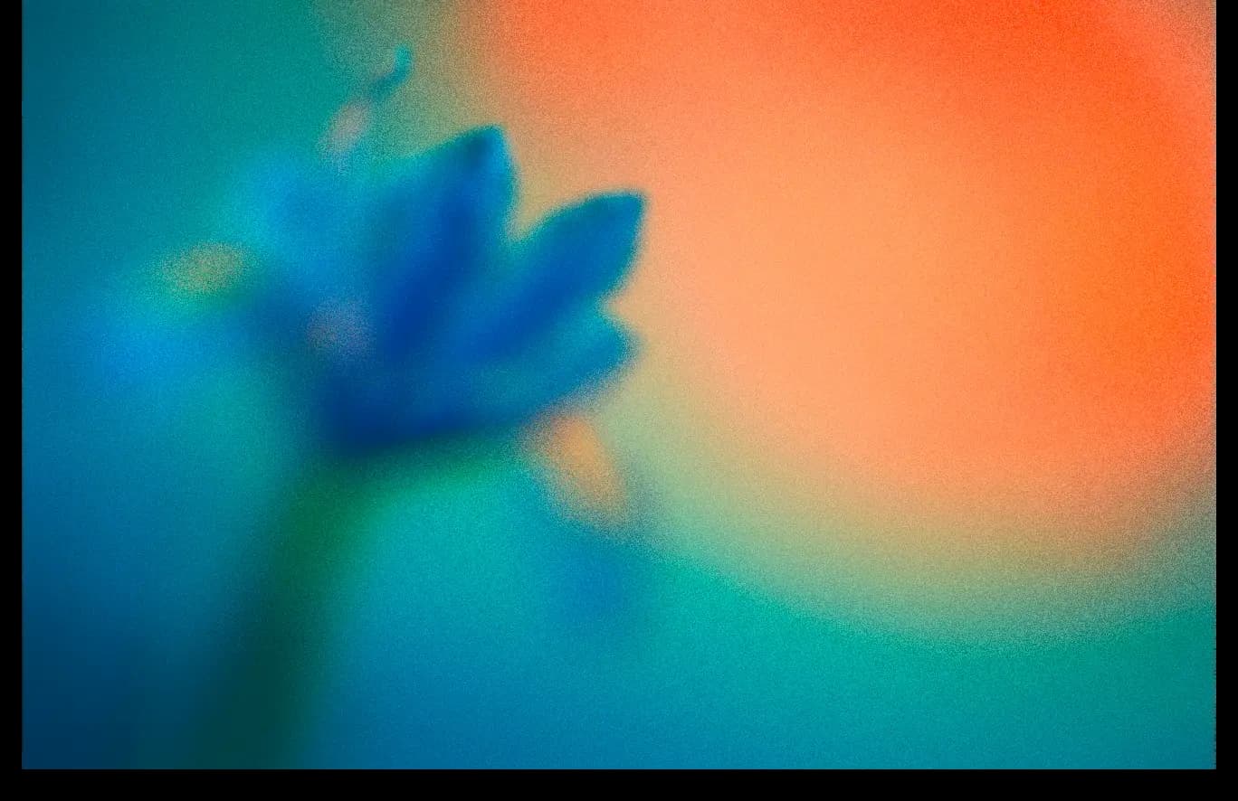Blue flowers in a field