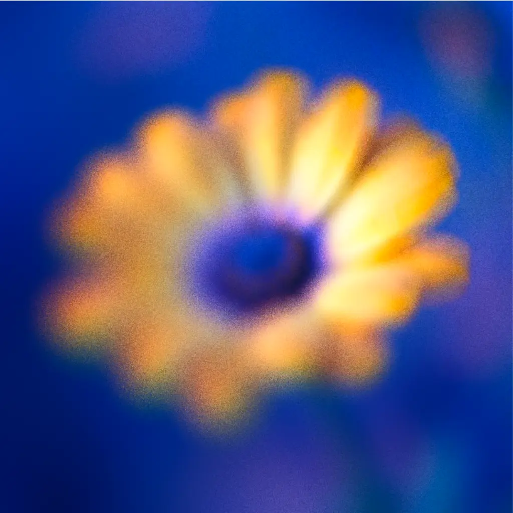 Deep blue and yellow flower